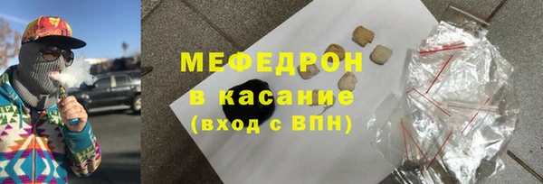 индика Елизово