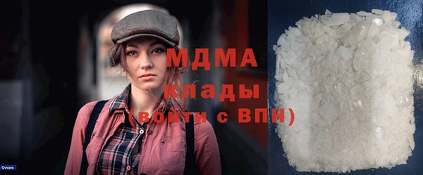 индика Елизово