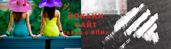 индика Елизово