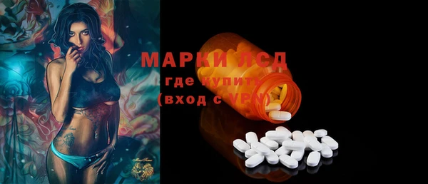 ALPHA PVP Ельня