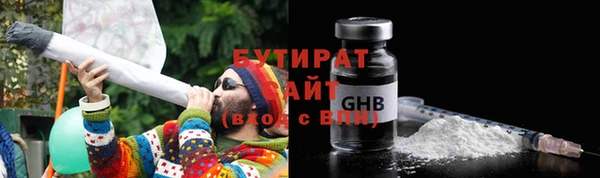 индика Елизово