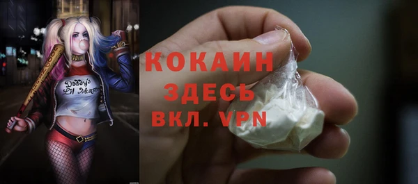 ALPHA PVP Ельня