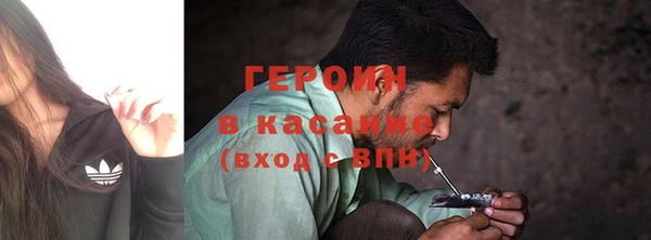индика Елизово
