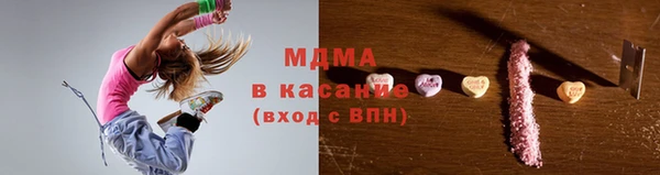 индика Елизово