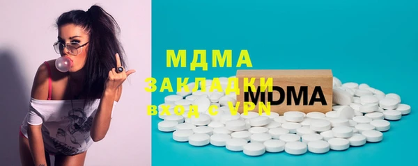 индика Елизово