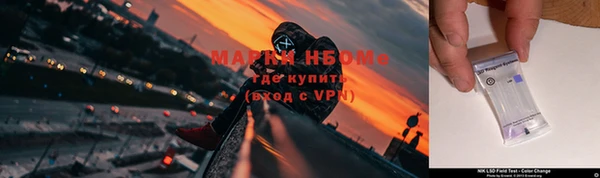 ALPHA PVP Ельня