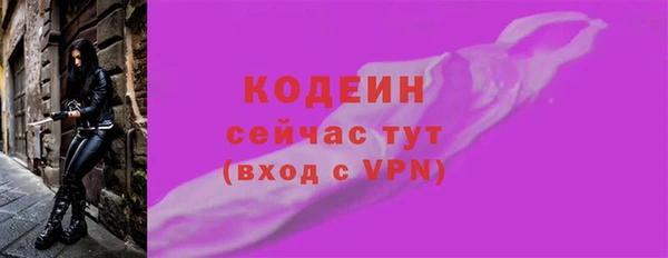дмт Елабуга