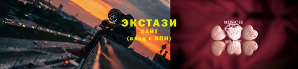 индика Елизово