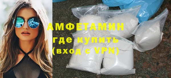 индика Елизово