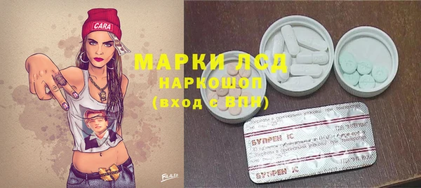 дмт Елабуга
