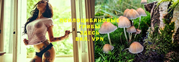 ALPHA PVP Ельня