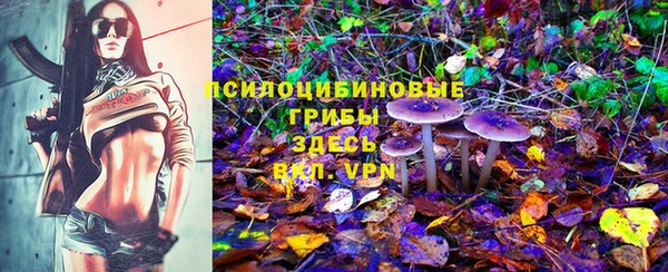 индика Елизово