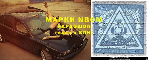индика Елизово