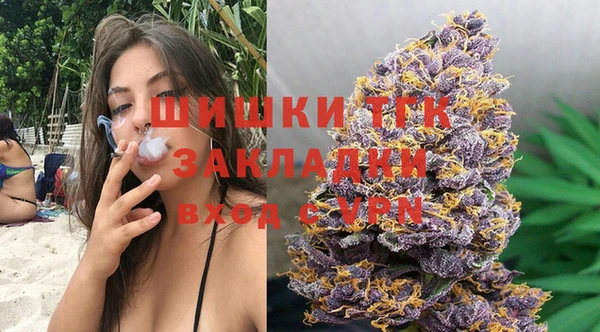 ALPHA PVP Ельня
