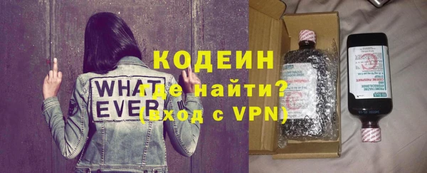 индика Елизово