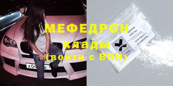 индика Елизово