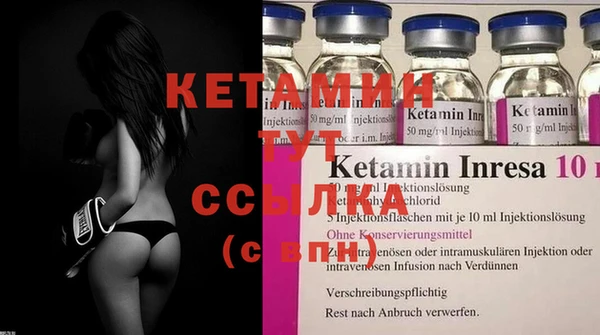 индика Елизово