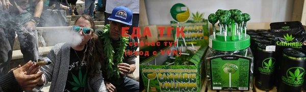 индика Елизово