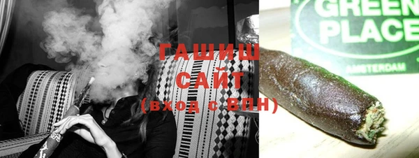 индика Елизово