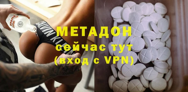 индика Елизово