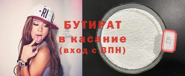 индика Елизово