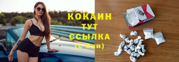 дмт Елабуга
