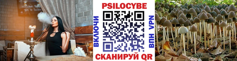 Псилоцибиновые грибы MAGIC MUSHROOMS  это официальный сайт  Щёлково 
